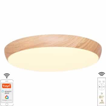 LED stropné svietidlo OPAL + diaľkový ovládač + Wifi 48W - LC942W
